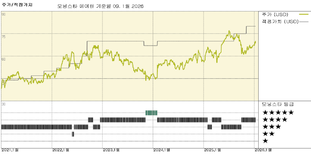 모닝스타 이미지