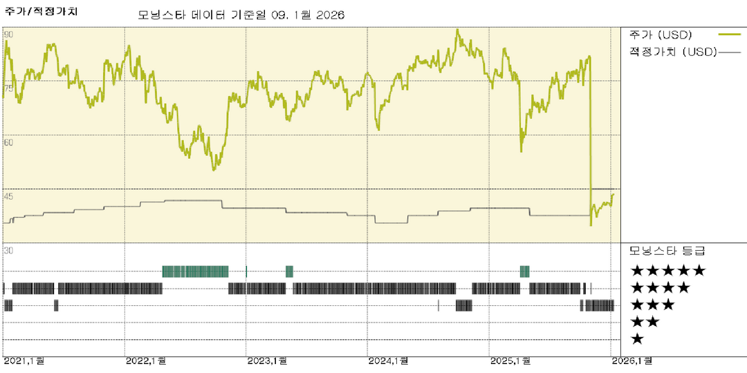 모닝스타 이미지