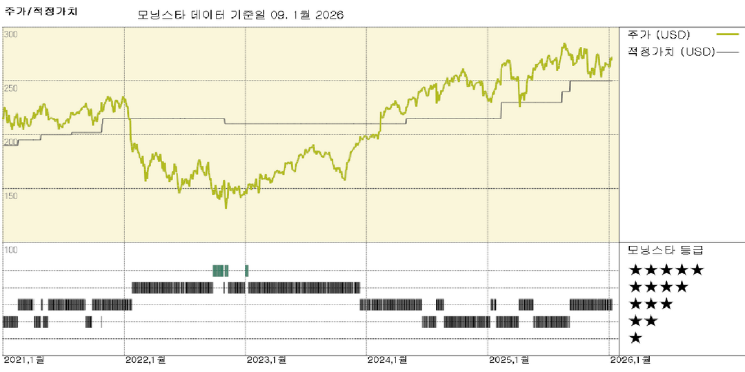 모닝스타 이미지