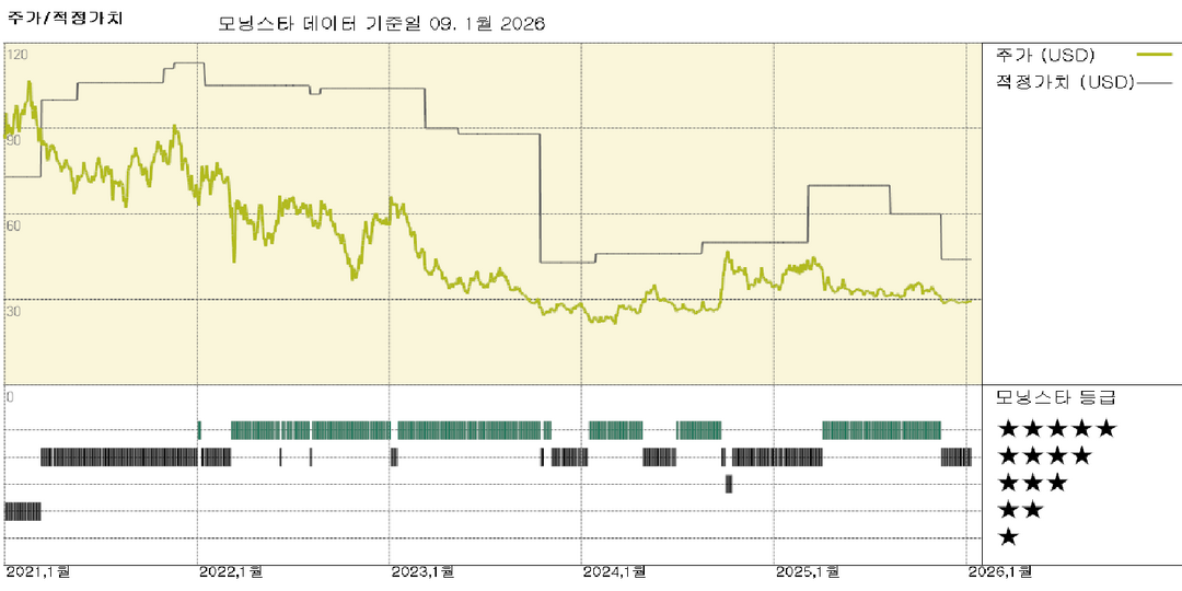 모닝스타 이미지