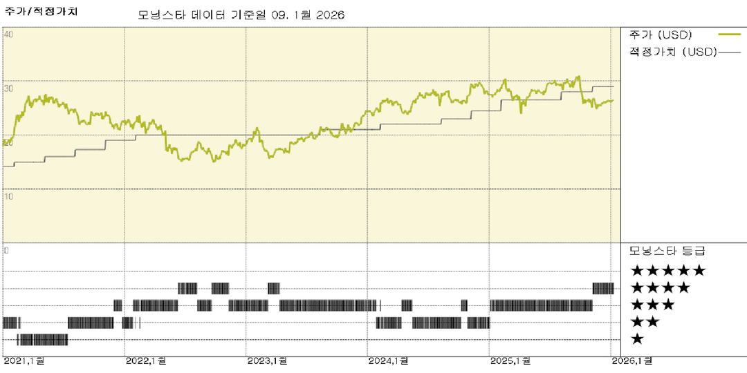 모닝스타 이미지