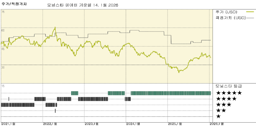 모닝스타 이미지