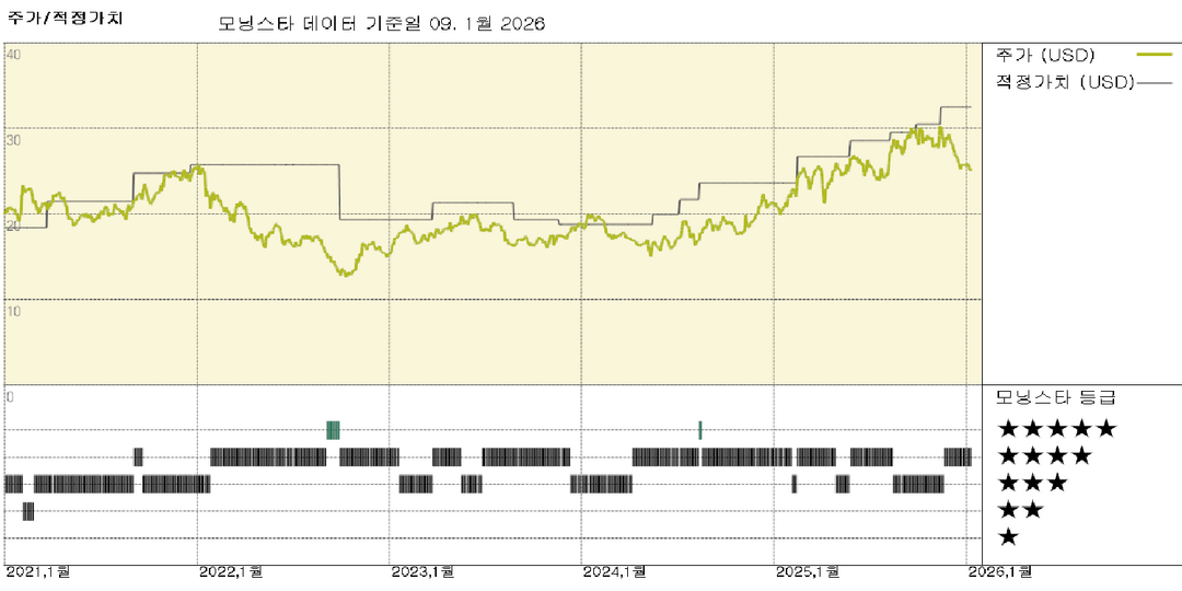 모닝스타 이미지