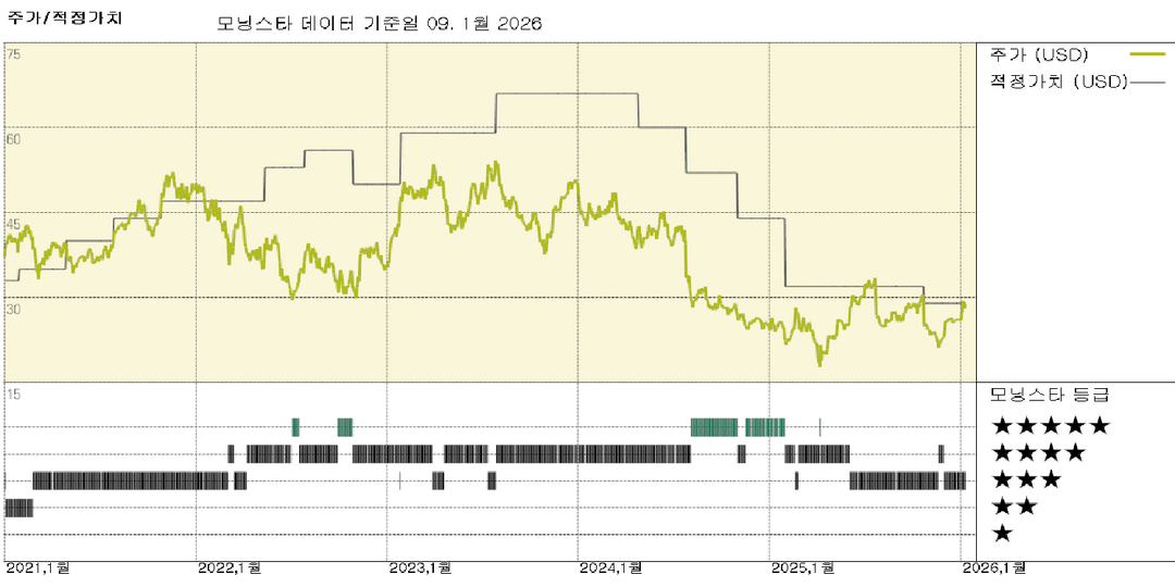 모닝스타 이미지